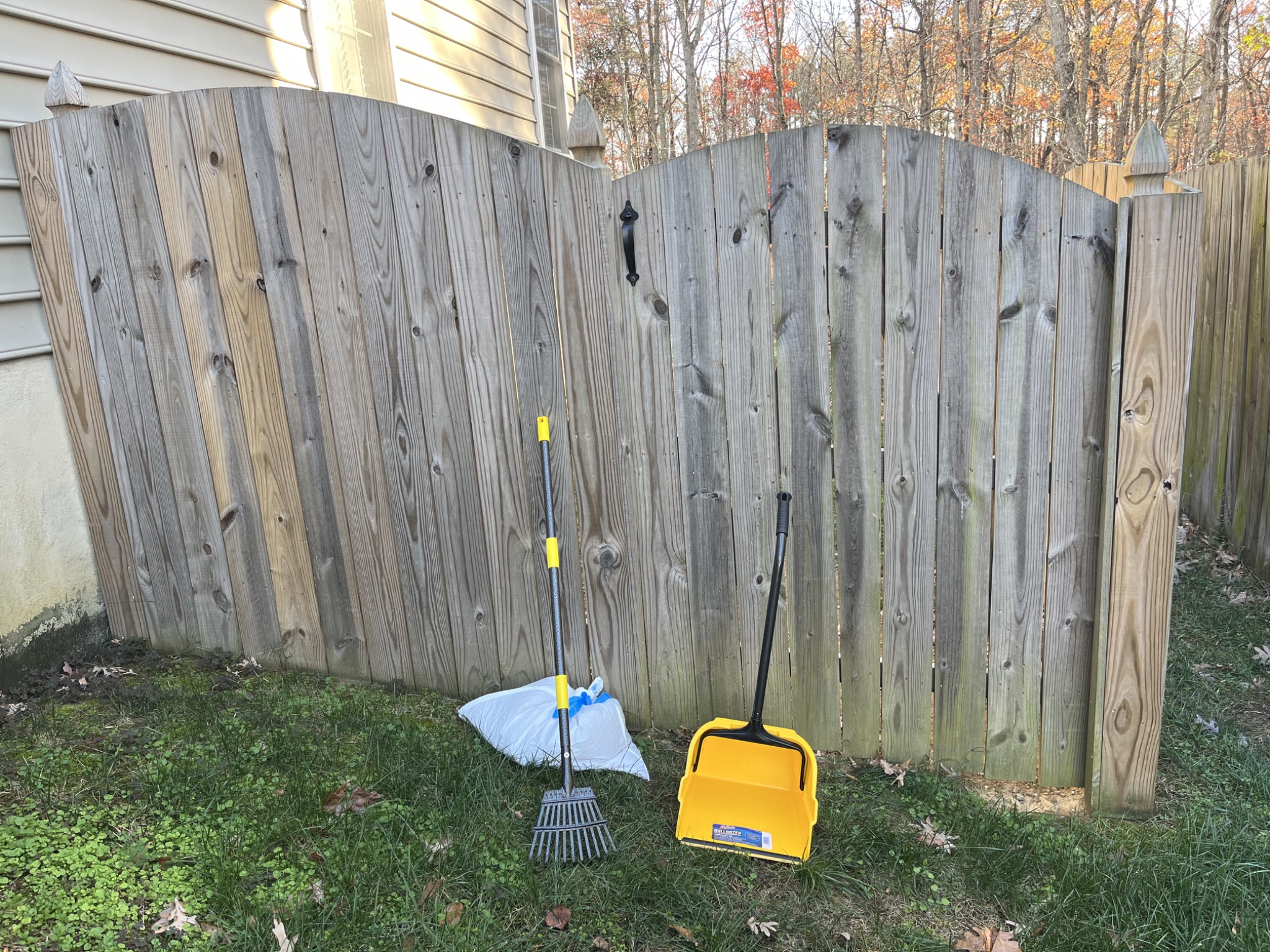 Dog friendly yard kept clean with regular poop scooping in Stafford, Virginia