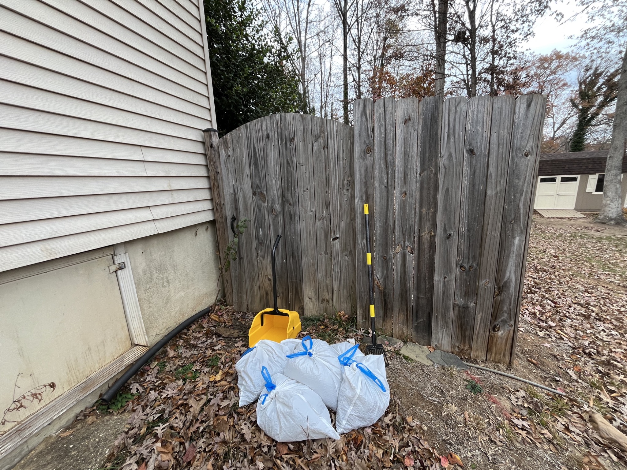 Large fenced yard after thorough dog poop cleanup visit in Stafford County
